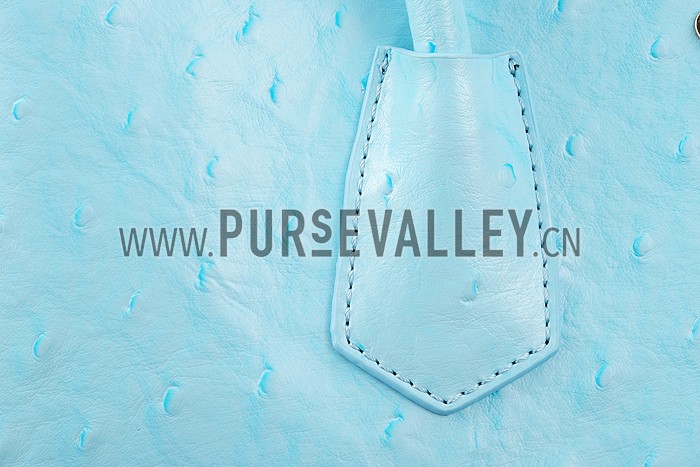 Prada Double Tote Ostrich Leather Bag Light Blue
