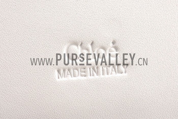 Chloe Faye Small Bag Black And White