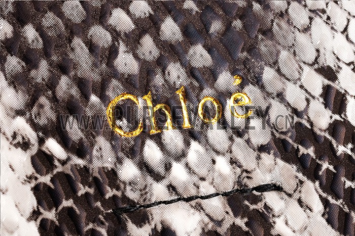 Chloe Faye Small Bag Red and Python Pattern