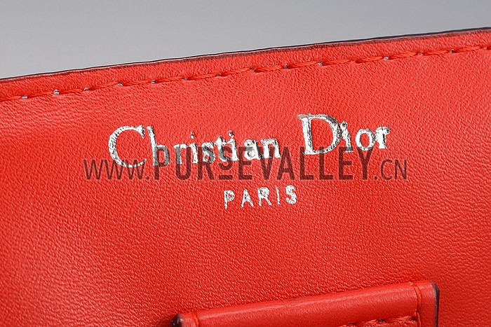 Diorissimo Medium Light Blue and Spotted City Bag