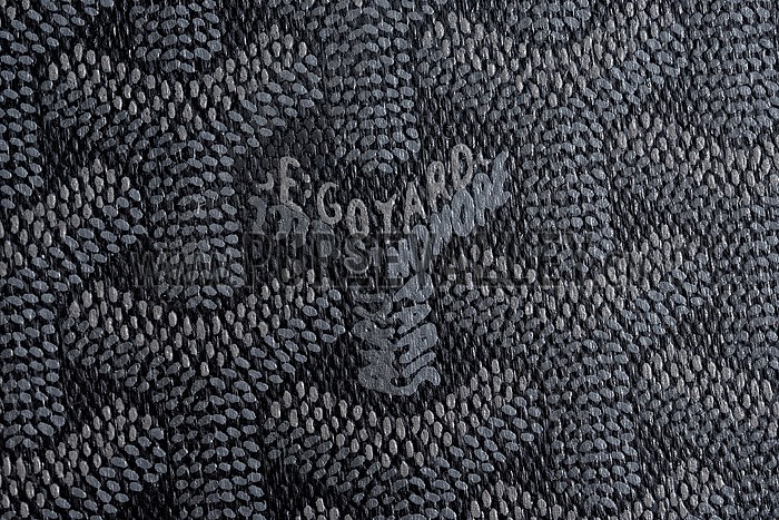 Goyard Passport Cover 18926609