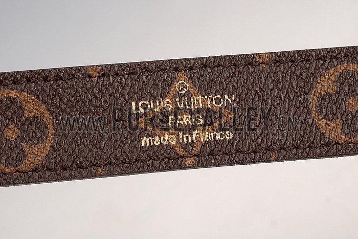 Louis Vuitton Twist Palm Print Bag