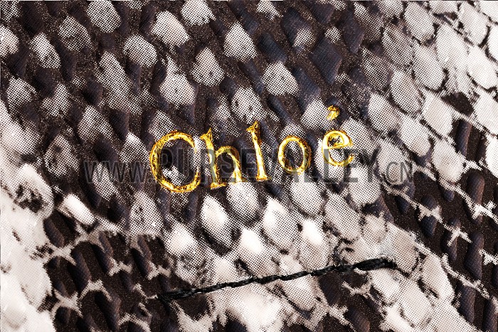 Chloe Faye Small Bag Black and Python Pattern