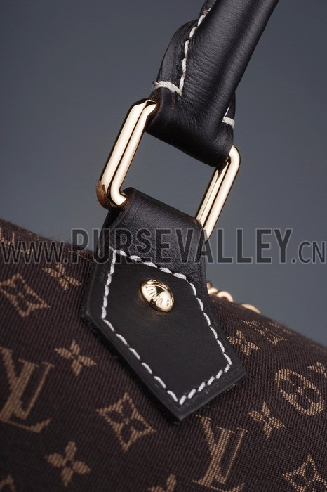 Louis Vuitton Speedy 30 Fusain