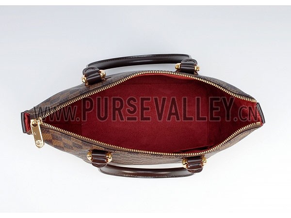 Louis Vuitton Damier Canvas Saleya PM