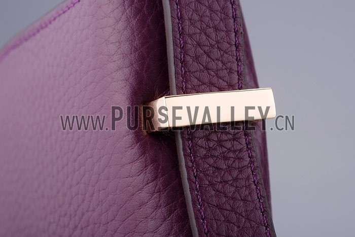Hermes Constance Plum with Golden Buckle