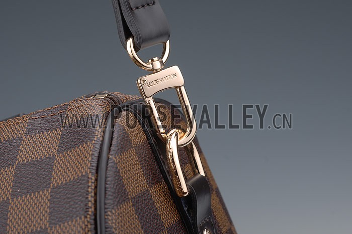 Louis Vuitton Damier Speedy 25 with Shoulder Strap