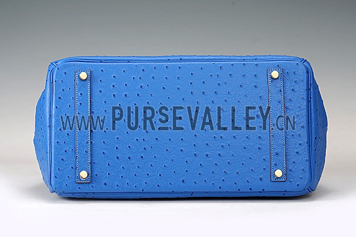 Hermes Birkin 35 Blue Ostrich Leather 607483