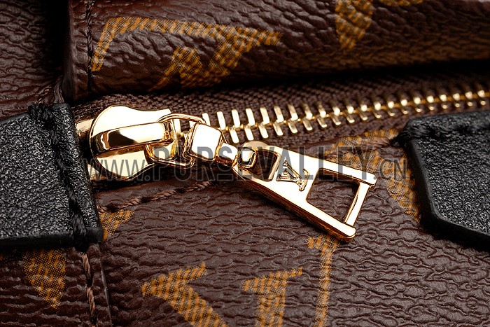 Louis Vuitton Monogram Palm Springs Backpack PM