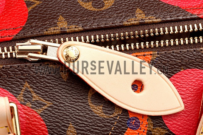 Louis Vuitton Speedy 30 Ramages