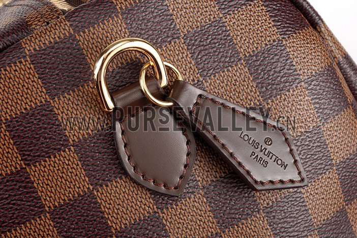 Louis Vuitton Damier Ebene Speedy 25 Bag With Chain Shoulder Strap