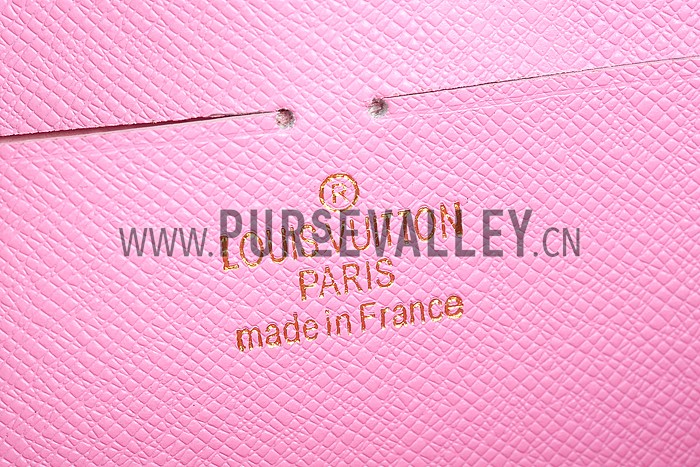 Louis Vuitton Damier Graphite Evasion Zippy Wallet