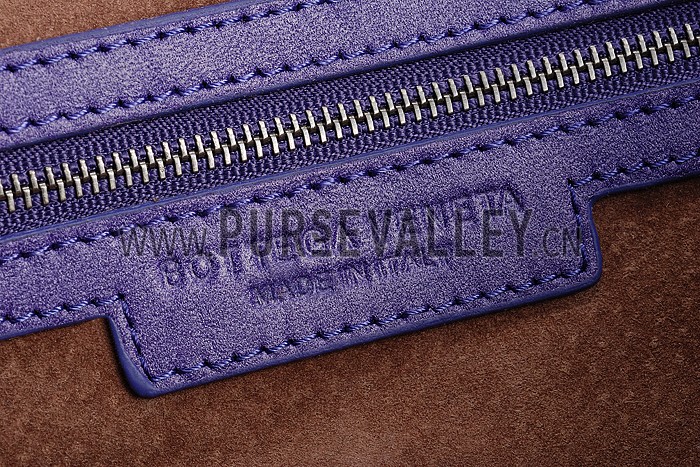 Bottega Veneta Intrecciato Hobo Purple Bag