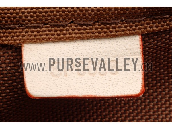 Louis Vuitton Monogram Bosphore