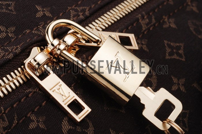 Louis Vuitton Speedy 30 Fusain