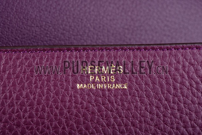 Hermes Constance Plum with Golden Buckle