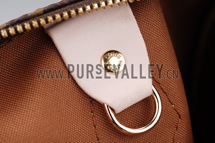 Louis Vuitton Monogram Speedy 25 with Shoulder Strap