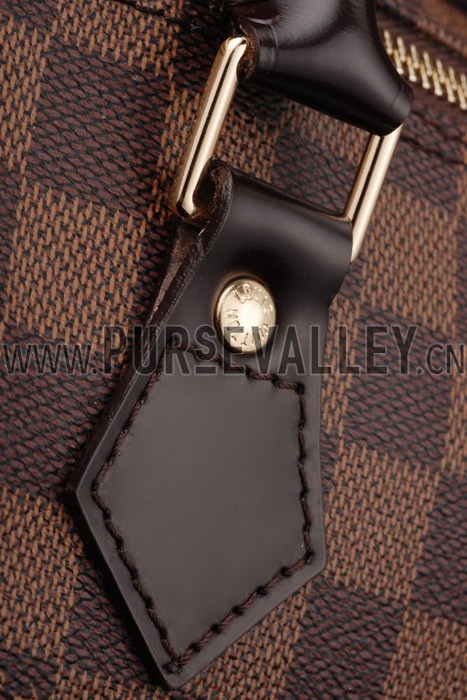 Louis Vuitton Damier Speedy 30