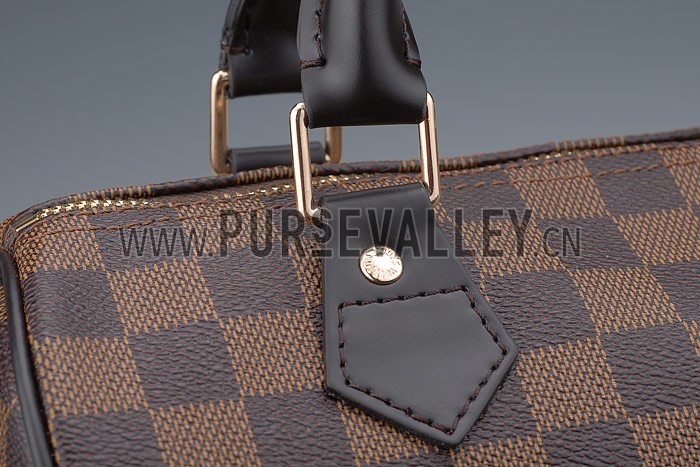 Louis Vuitton Damier Speedy 25 with Shoulder Strap
