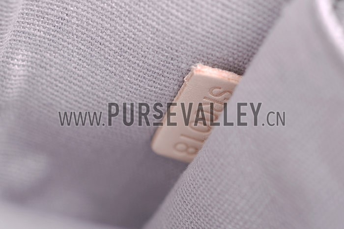 Louis Vuitton Vernis Alma PM Grey-Blue