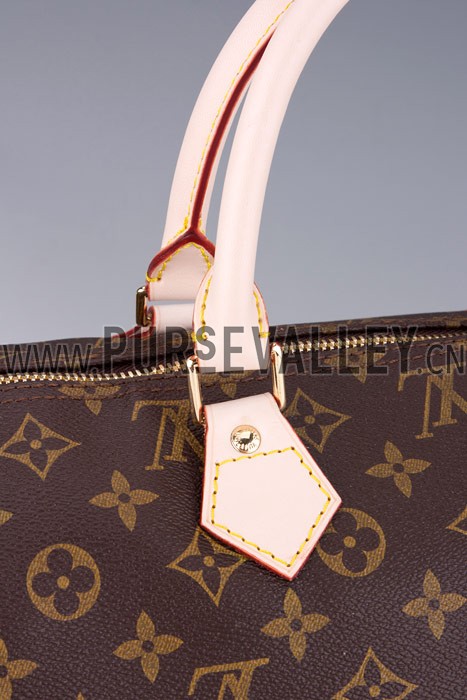 Louis Vuitton Monogram Speedy