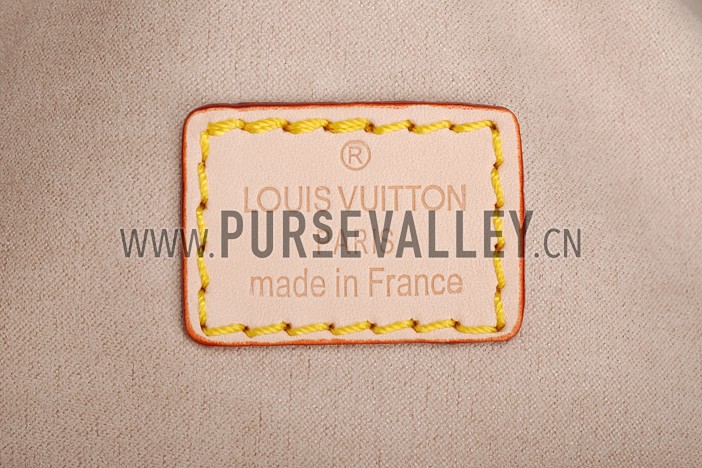 Louis Vuitton Artsy MM