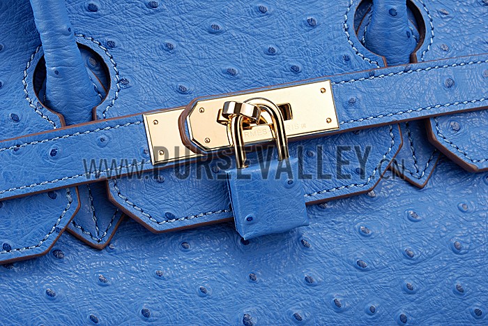 Hermes Birkin 35 Blue Ostrich Leather 607483