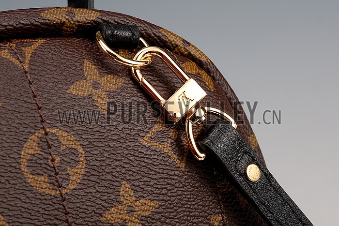 Louis Vuitton Monogram Palm Springs Backpack PM