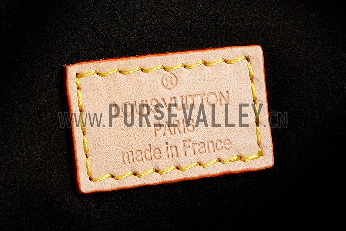 Louis Vuitton Monogram Gaia Bag Black