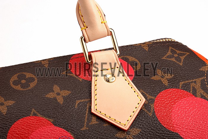 Louis Vuitton Speedy 30 Ramages