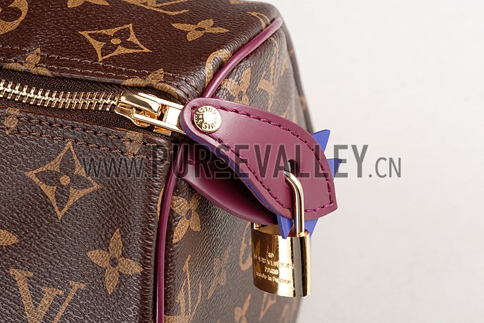 Louis Vuitton Monogram Totem Speedy Plum