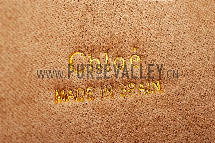 Chloe Faye Small Bag Red and Python Pattern