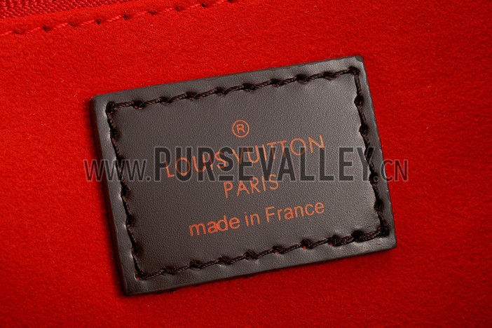 Louis Vuitton Damier Ebene Venice Bag