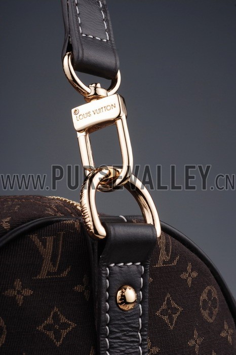 Louis Vuitton Speedy 30 Fusain