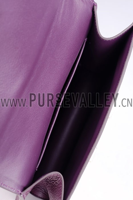 Hermes Constance Plum with Golden Buckle