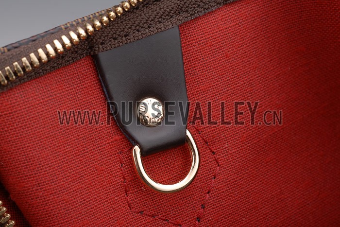 Louis Vuitton Damier Speedy 25 with Shoulder Strap