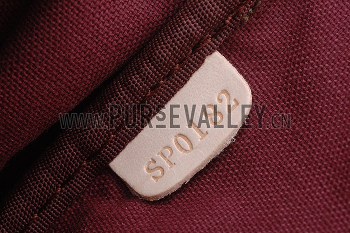 Louis Vuitton Monogram Favorite PM