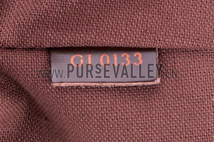 Louis Vuitton Damier Ebene District PM