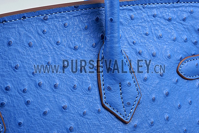 Hermes Birkin 35 Blue Ostrich Leather 607483