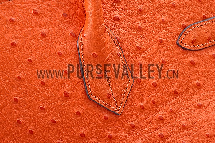 Hermes Birkin 35 Orange Ostrich Leather 607485