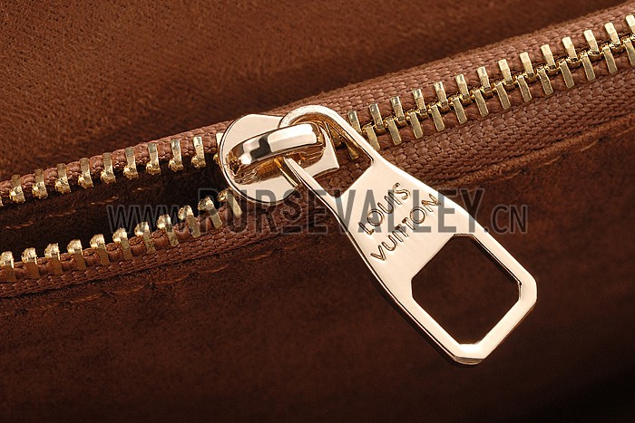 Louis Vuitton Pallas Chain Bag Havane 608248