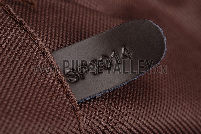 Louis Vuitton Damier Pegase 55