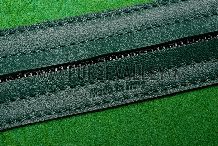 Celine Luggage Phantom Tote Green