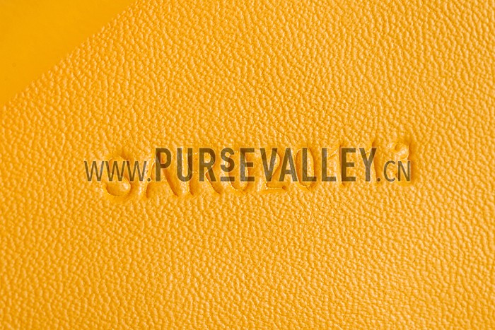 Goyard Yellow Passport Cover 18926625