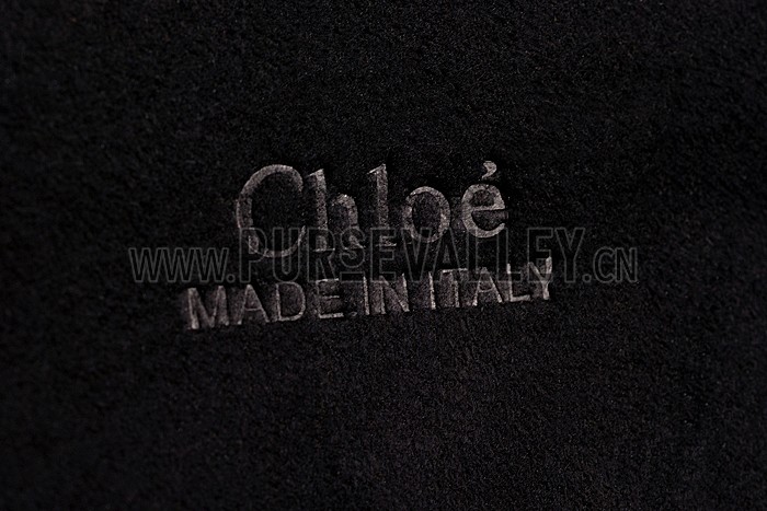 Chloe Faye Python Flap Black Shoulder Bag