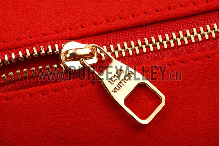 Louis Vuitton Damier Ebene Venice Bag