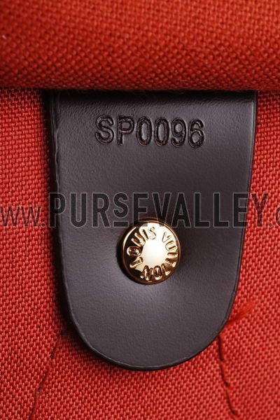 Louis Vuitton Damier Speedy 35