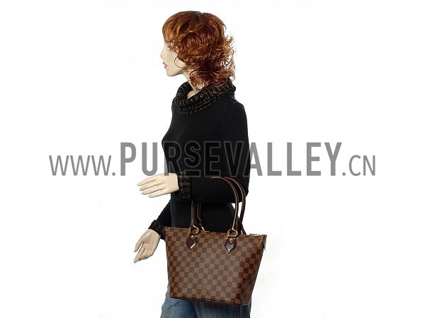 Louis Vuitton Damier Canvas Saleya PM