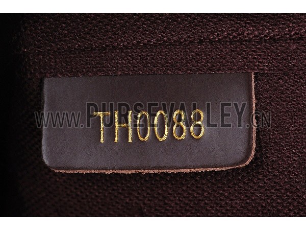 Louis Vuitton Damier Canvas Brooklin PM