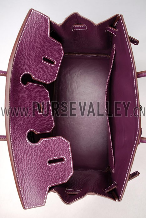 Hermes Birkin Plum
